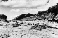 Fig. 1. A typical gully caused by wind erosion in Fnjóskadalur. The white stripe is one of the layers of volcanic ash found in usual ''loess-soil“ profiles. The layer is a prehistoric one originating from the mountain Hekla or its vicinity. - 1974. Photo P. Jonsson.