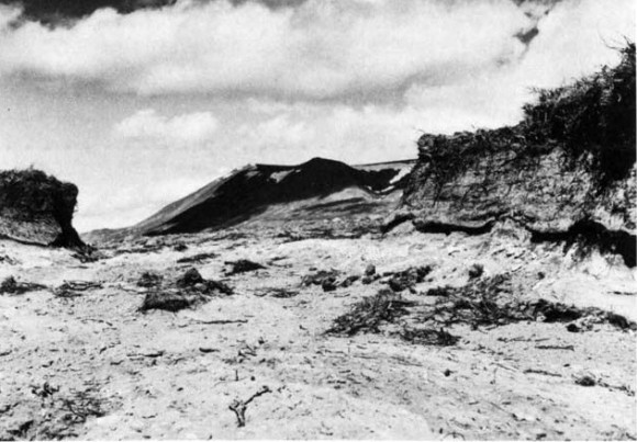 Fig. 1. A typical gully caused by wind erosion in Fnjóskadalur. The white stripe is one of the layers of volcanic ash found in usual ''loess-soil“ profiles. The layer is a prehistoric one originating from the mountain Hekla or its vicinity. - 1974. Photo P. Jonsson.