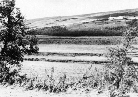 Fig. 4. The farm Hróastaðir on the west bank of river Fnjóská. The slopes above and south of the farm were covered with birchwood late in the 18t h century. The small patch of young birc hes below the hayfield has grown from self-sown seed ling within a protected area, 1974. Photo P. Jonsson.