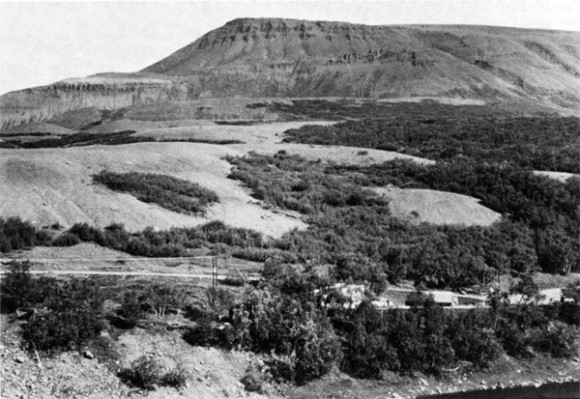 Fig. 6. The terrace SW of H als 22 years after it was protected from grazing. On the few patches left of origi nal soil, birches have sprouted vigorously from old roots. The eroded terrace is almost as barren as it was previous to enclosure, 1968 . Photo H. Bjarnason.