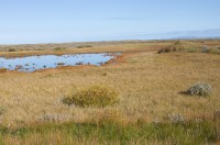 Horft yfir Yzta-kíl. Til hægri á myndinni er hóllinn, sem myndaði hólma í kílnum. Ljósm. ÁHB.