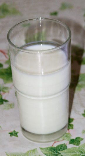 Er mjólk óholl? Rannsókn bendir til þess