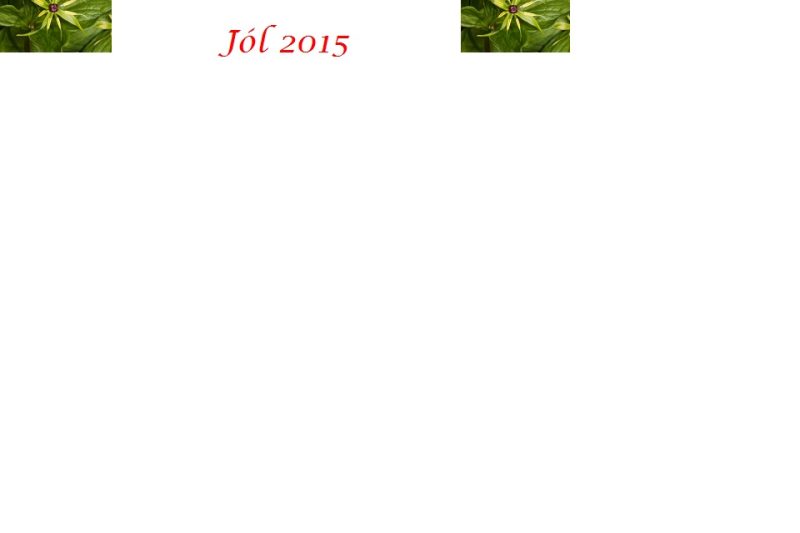 Á JÓLUM 2015