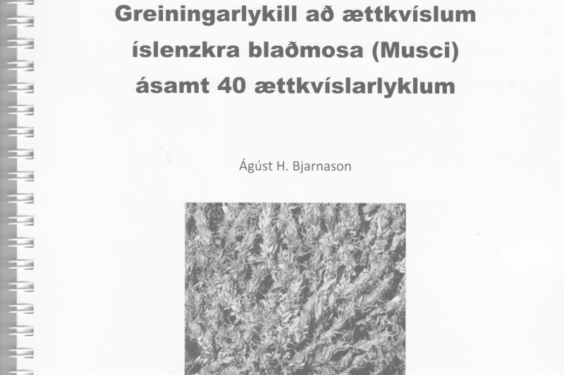 Nýr greiningarlykill