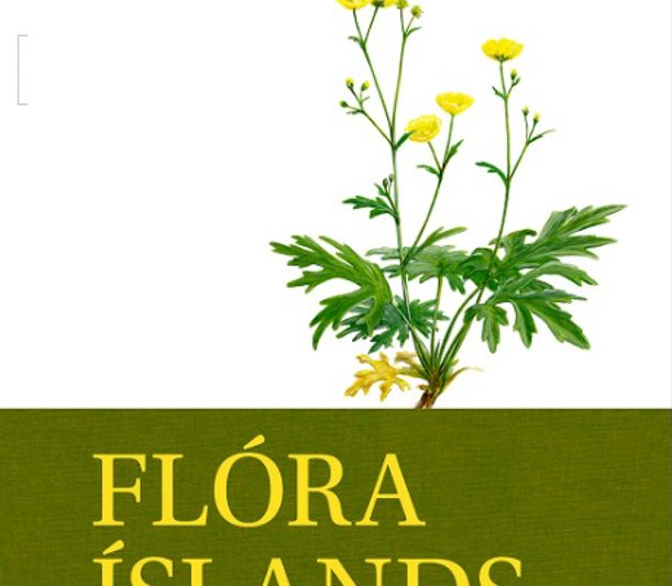 Flóra Íslands – blómplöntur og byrkningar