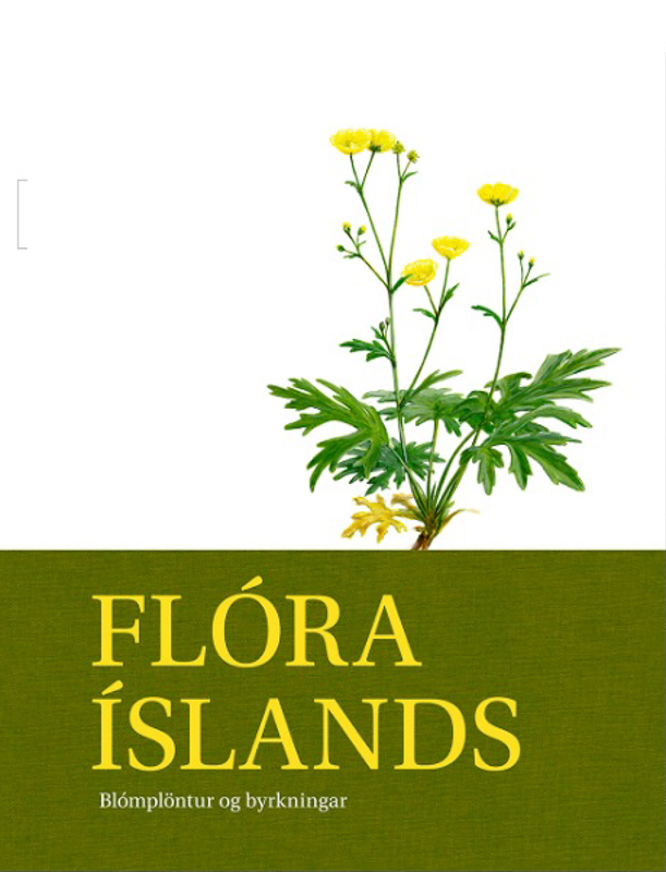 Flóra Íslands – blómplöntur og byrkningar