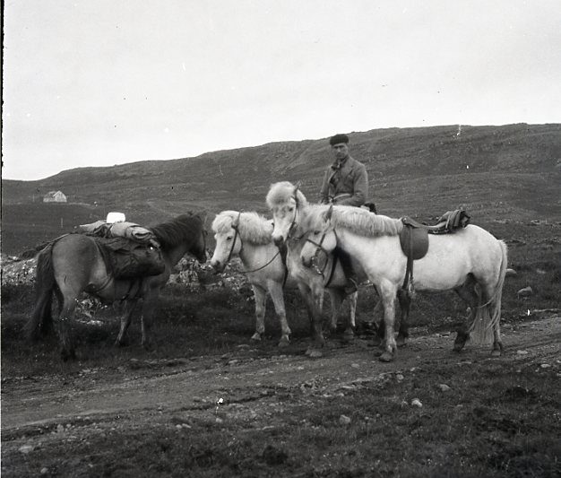 FERÐABÓK OG ATHUGANIR SUMARIÐ 1930