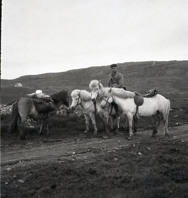 FERÐABÓK OG ATHUGANIR SUMARIÐ 1930